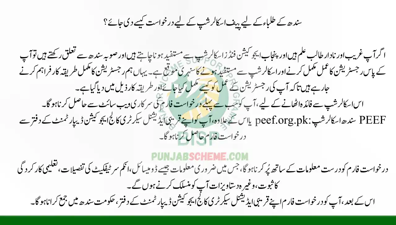 How to Apply for the Peef Scholarship for Sindh Students